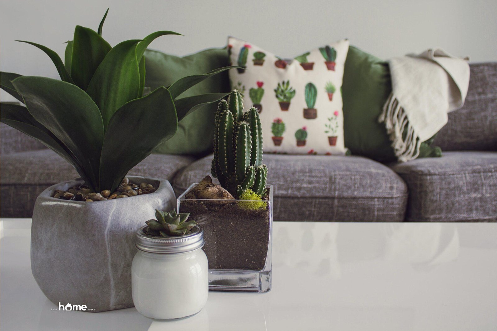 Incorporating Natural Elements Into Your Home Decor