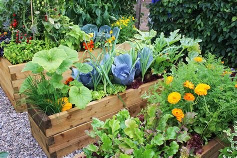 Edible Garden Ideas: How To Grow Your Own Food And Herbs At Home
