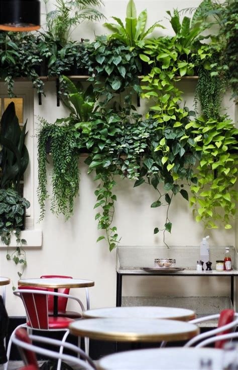 Incorporating Indoor Plants Into Your Interior Design: Tips And Tricks